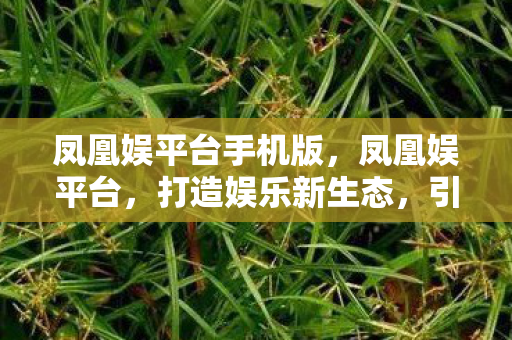 凤凰娱平台手机版，凤凰娱平台，打造娱乐新生态，引领数字娱乐新潮流