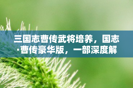 三国志曹传武将培养,国志·曹传豪华版,一部深度解读曹操的史诗巨作 三国志曹传武将培养,国志·曹传豪华版,一部深度解读曹操的史诗巨作
