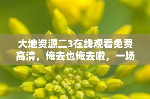 大地资源二3在线观看免费高清，俺去也俺去啦，一场说走就走的旅行