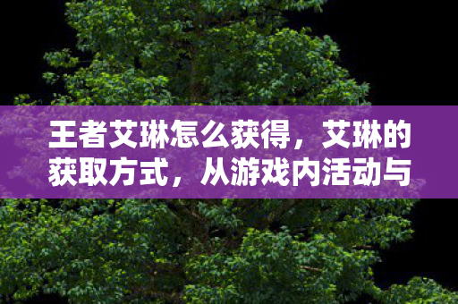 王者艾琳怎么获得，艾琳的获取方式，从游戏内活动与官方渠道探索