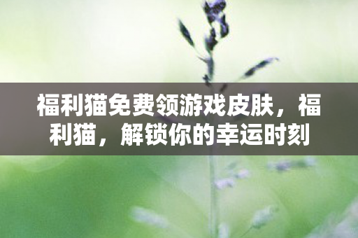 福利猫免费领游戏皮肤，福利猫，解锁你的幸运时刻