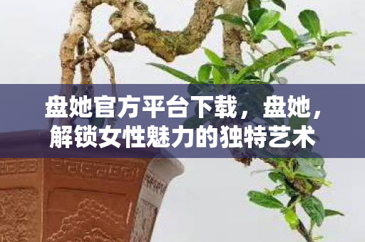 盘她官方平台下载，盘她，解锁女性魅力的独特艺术