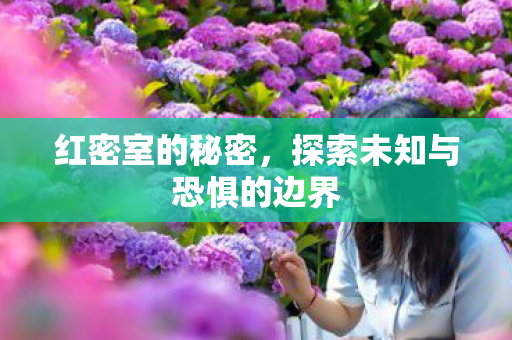红密室的秘密,探索未知与恐惧的边界 红密室的秘密,探索未知与恐惧的边界