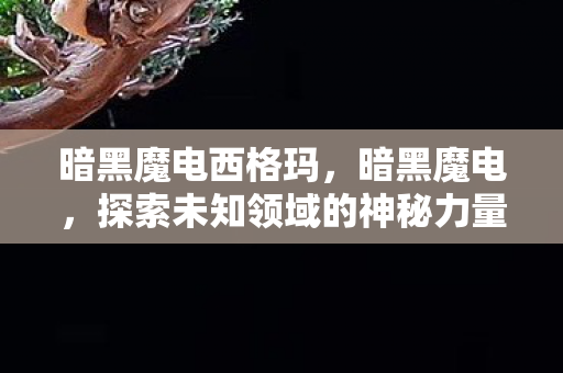 暗黑魔电西格玛,暗黑魔电,探索未知领域的神秘力量 暗黑魔电西格玛,暗黑魔电,探索未知领域的神秘力量