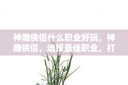 神雕侠侣什么职业好玩,神雕侠侣,选择最佳职业,打造你的武侠传奇 神雕侠侣什么职业好玩,神雕侠侣,选择最佳职业,打造你的武侠传奇