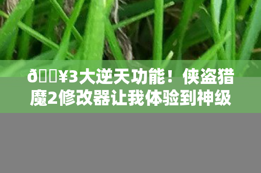 🔥3大逆天功能！侠盗猎魔2修改器让我体验到神级玩家的爽感！