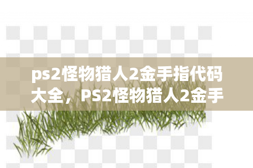 ps2怪物猎人2金手指代码大全，PS2怪物猎人2金手指使用指南，提升游戏乐趣的合法途径