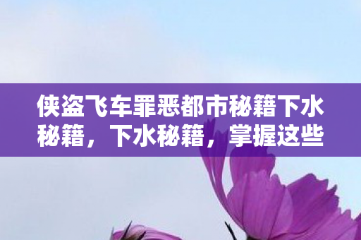 侠盗飞车罪恶都市秘籍下水秘籍，下水秘籍，掌握这些技巧，让你在水中游刃有余