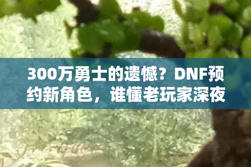 300万勇士的遗憾？DNF预约新角色，谁懂老玩家深夜破防的痛！