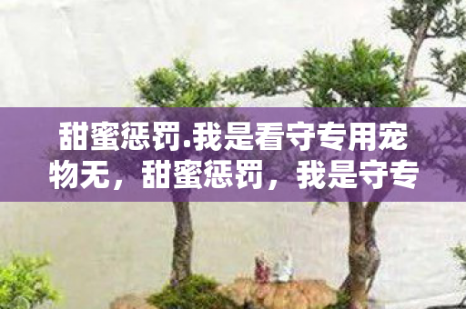 甜蜜惩罚.我是看守专用宠物无，甜蜜惩罚，我是守专用宠物