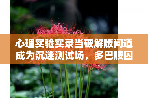 心理实验实录当破解版问道成为沉迷测试场图片