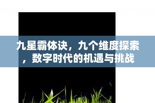 九星霸体诀，九个维度探索，数字时代的机遇与挑战