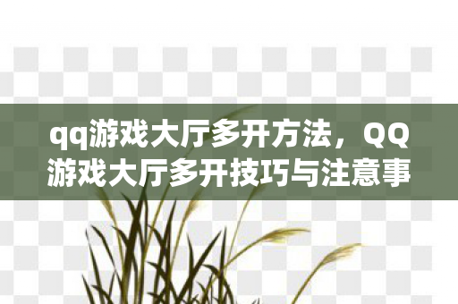 qq游戏大厅多开方法，QQ游戏大厅多开技巧与注意事项