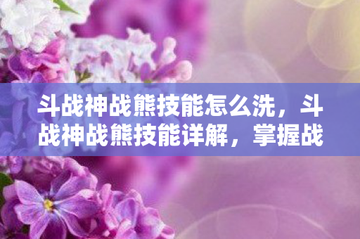 斗战神战熊技能怎么洗，斗战神战熊技能详解，掌握战斗核心，成为真正的英雄！
