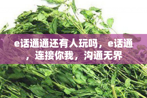 e话通通还有人玩吗，e话通，连接你我，沟通无界