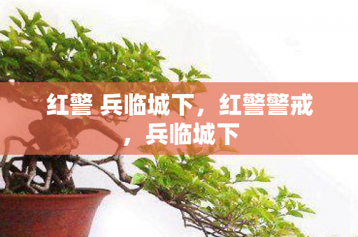 红警 兵临城下图片