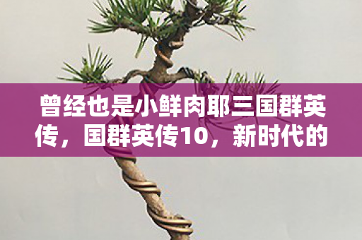 曾经也是小鲜肉耶三国群英传,国群英传10,新时代的曙光 曾经也是小鲜肉耶三国群英传,国群英传10,新时代的曙光