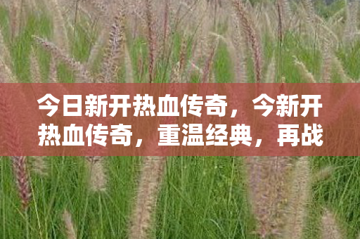 今日新开热血传奇,今新开热血传奇,重温经典,再战沙场 今日新开热血传奇,今新开热血传奇,重温经典,再战沙场
