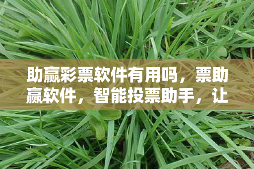 助赢彩票软件有用吗,票助赢软件,智能投票助手,让每一票都有价值 助赢彩票软件有用吗,票助赢软件,智能投票助手,让每一票都有价值