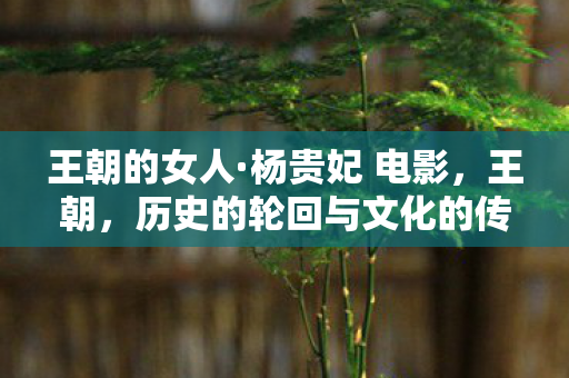 王朝的女人·杨贵妃 电影，王朝，历史的轮回与文化的传承
