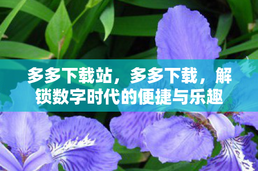 多多下载站，多多下载，解锁数字时代的便捷与乐趣