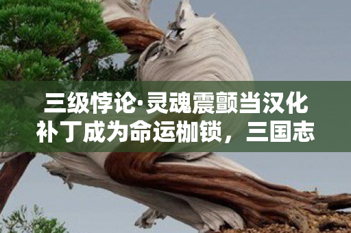 三级悖论·灵魂震颤当汉化补丁成为命运枷锁，三国志13的自由囚徒