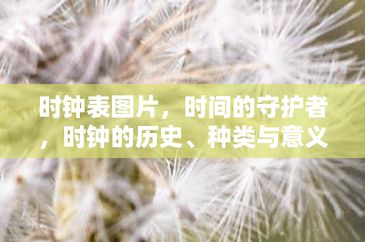 时钟表图片,时间的守护者,时钟的历史、种类与意义 时钟表图片,时间的守护者,时钟的历史、种类与意义