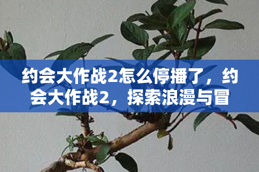 约会大作战2怎么停播了,约会大作战2,探索浪漫与冒险的奇妙旅程 约会大作战2怎么停播了,约会大作战2,探索浪漫与冒险的奇妙旅程