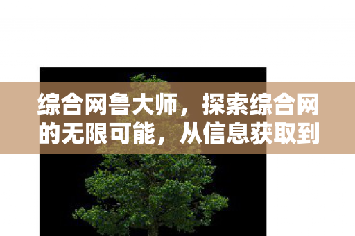 综合网鲁大师,探索综合网的无限可能,从信息获取到知识共享的多元化平台 综合网鲁大师,探索综合网的无限可能,从信息获取到知识共享的多元化平台