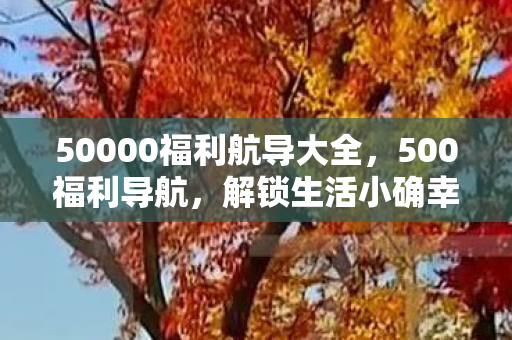 50000福利航导大全,500福利导航,解锁生活小确幸的秘籍 50000福利航导大全,500福利导航,解锁生活小确幸的秘籍