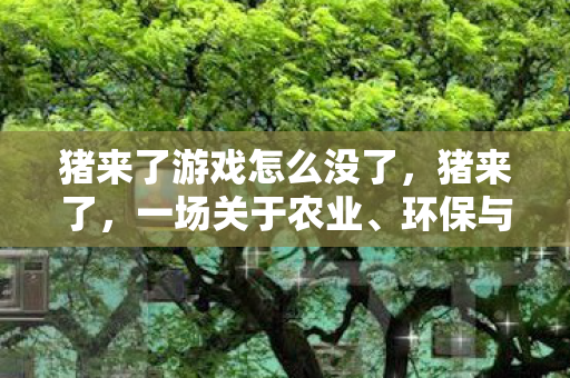 猪来了游戏怎么没了,猪来了,一场关于农业、环保与未来的对话 猪来了游戏怎么没了,猪来了,一场关于农业、环保与未来的对话