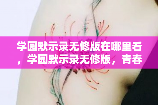 学园默示录无修版在哪里看，学园默示录无修版，青春与末日的交响曲