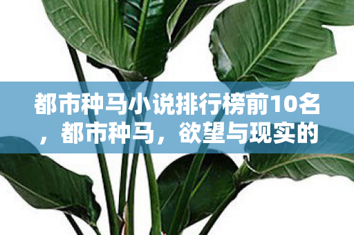 都市种马小说排行榜前10名，都市种马，欲望与现实的碰撞