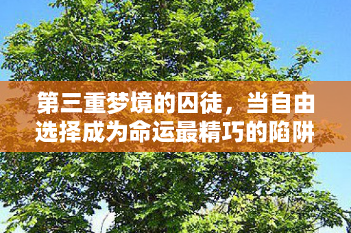 第三重梦境的囚徒,当自由选择成为命运最精巧的陷阱 第三重梦境的囚徒,当自由选择成为命运最精巧的陷阱