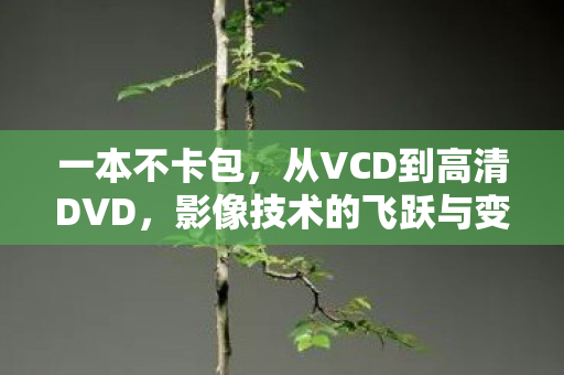 一本不卡包，从VCD到高清DVD，影像技术的飞跃与变迁