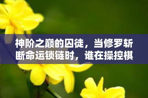 神阶之巅的囚徒，当修罗斩断命运锁链时，谁在操控棋盘？