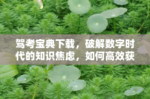 驾考宝典下载，破解数字时代的知识焦虑，如何高效获取与利用宝典