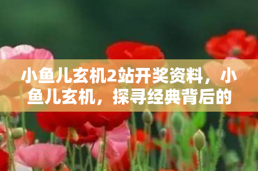 小鱼儿玄机2站开奖资料，小鱼儿玄机，探寻经典背后的故事