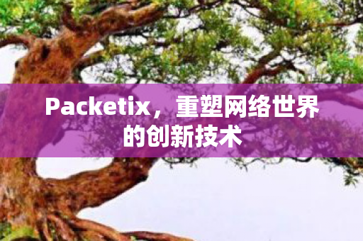 Packetix,重塑网络世界的创新技术 Packetix,重塑网络世界的创新技术