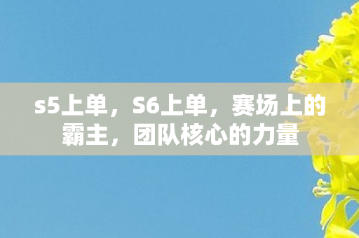 s5上单，S6上单，赛场上的霸主，团队核心的力量