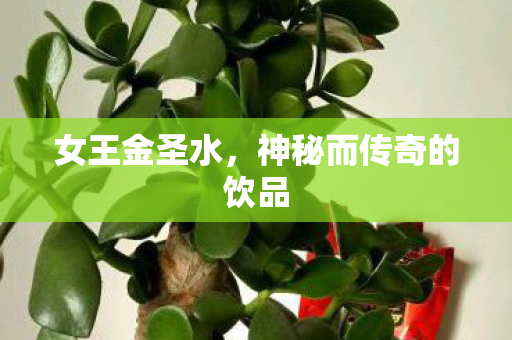 女王金圣水,神秘而传奇的饮品 女王金圣水,神秘而传奇的饮品