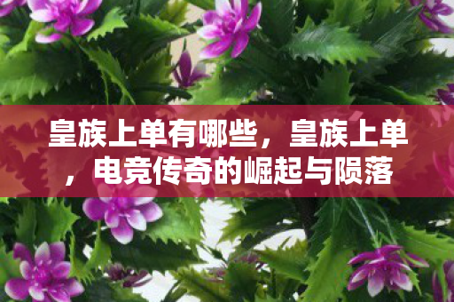 皇族上单有哪些,皇族上单,电竞传奇的崛起与陨落 皇族上单有哪些,皇族上单,电竞传奇的崛起与陨落