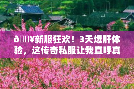🔥新服狂欢！3天爆肝体验，这传奇私服让我直呼真香！
