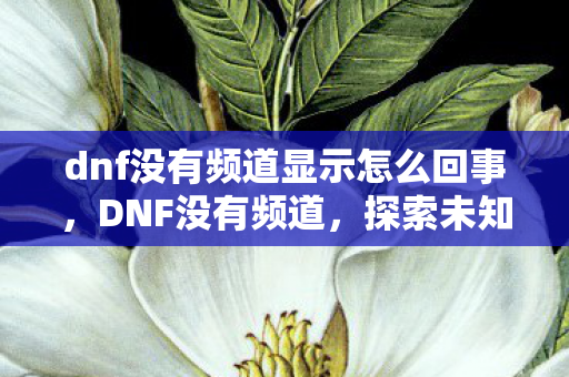 dnf没有频道显示怎么回事,DNF没有频道,探索未知的游戏世界与社交新体验 dnf没有频道显示怎么回事,DNF没有频道,探索未知的游戏世界与社交新体验