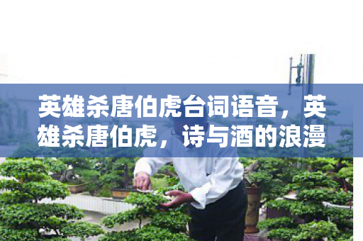 英雄杀唐伯虎台词语音，英雄杀唐伯虎，诗与酒的浪漫，才子之名的千古流传