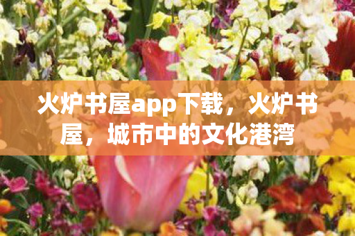 火炉书屋app下载，火炉书屋，城市中的文化港湾