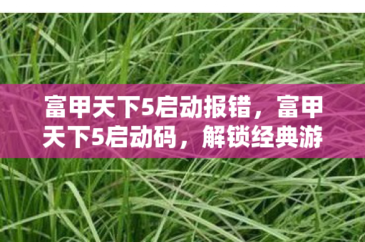 富甲天下5启动报错,富甲天下5启动码,解锁经典游戏的钥匙 富甲天下5启动报错,富甲天下5启动码,解锁经典游戏的钥匙