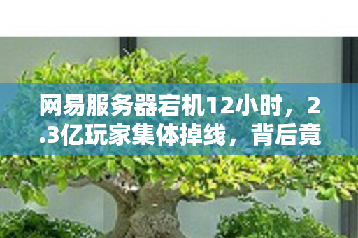 网易服务器宕机12小时，2.3亿玩家集体掉线，背后竟藏着游戏业下一个暴利风口？