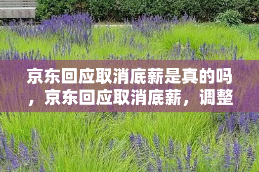 京东回应取消底薪是真的吗，京东回应取消底薪，调整背后的逻辑与影响