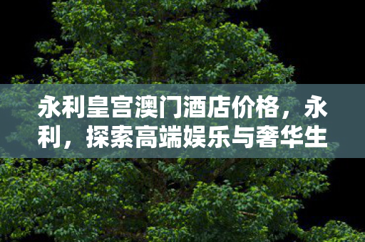 永利皇宫澳门酒店价格,永利,探索高端娱乐与奢华生活的典范 永利皇宫澳门酒店价格,永利,探索高端娱乐与奢华生活的典范
